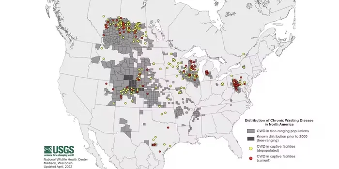 What is chronic wasting disease? A wildlife scientist explains the fatal prion infection killing deer and elk across North America