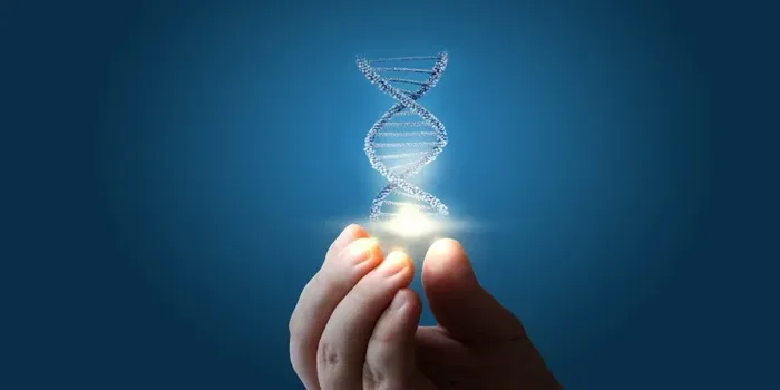The Human Genome Project pieced together only 92% of the DNA – now scientists have finally filled in the remaining 8%