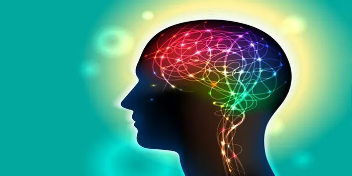 Where are memories stored in the brain? New research suggests they may be in the connections between your brain cells