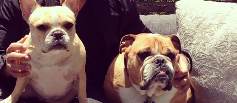 Who is the proud owner of a pet Bulldog named Puddy?