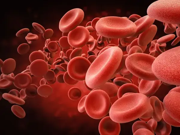 What Was the Science Behind Medical Bloodletting?