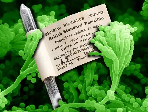 Guns, not roses – here’s the true story of penicillin’s first patient