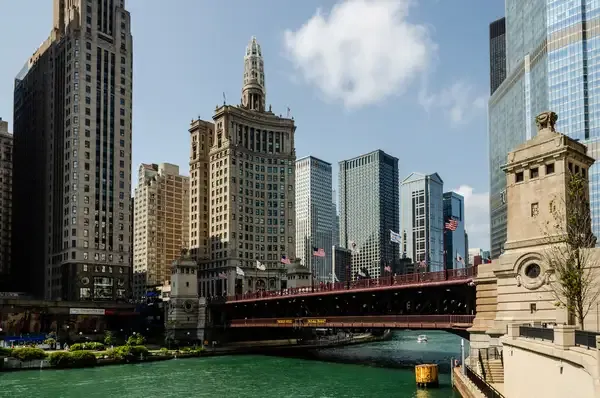 Why Do Gray Hairs Have a Different Texture?