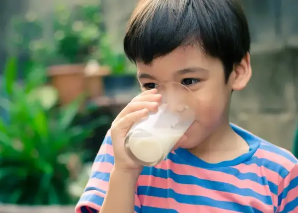 Why Did Adult Humans Start Drinking Milk?