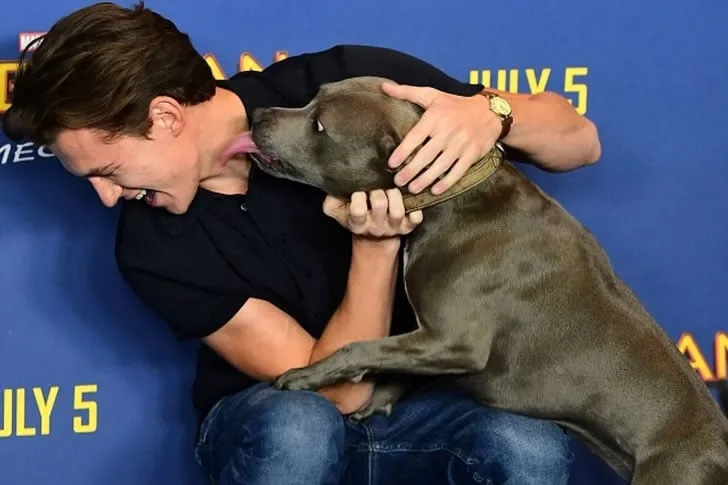 Famous Furry Friends: Match the Celeb with Their Pet