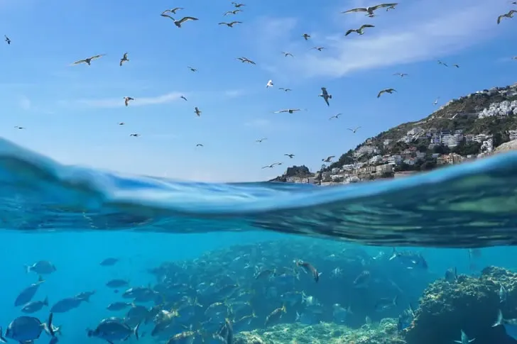 Is Your Marine Knowledge Profound Enough to Master This Quiz?