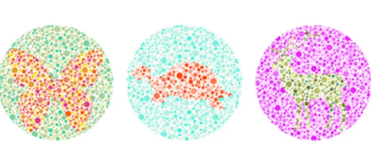 What shapes are visible to you?