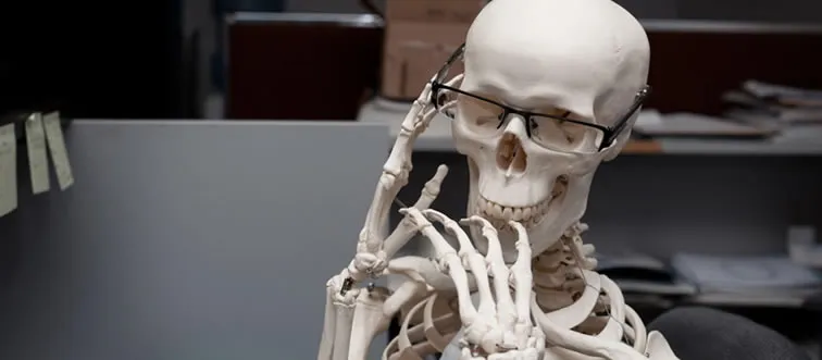 What type of tissue are bones mainly made up of?