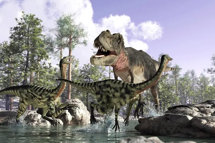 Travel Through History With This Quiz on Creatures of the Prehistoric World.