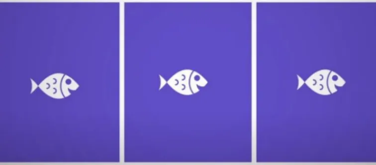 Which of these fish is perfect in the middle of its field?