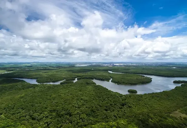 How Long Is the Amazon River?