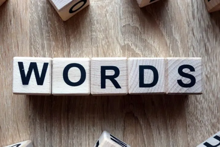 Brainy Buddy, What’s the Size of Your Word Collection?