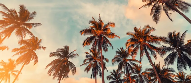 What is the capital of California?