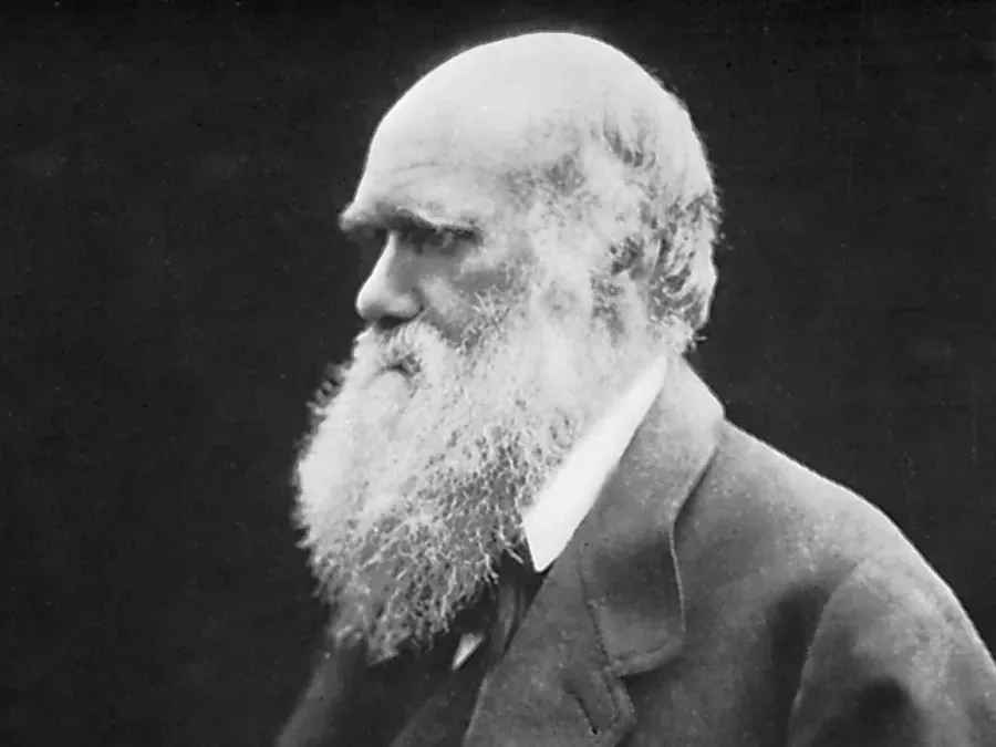 What Darwin Got Right (and Wrong) About Evolution
