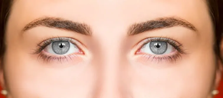 What is the colored part of the human eye called?