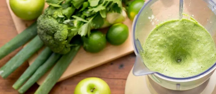 What was a popular household appliance in the 1950s used for mixing and blending food?