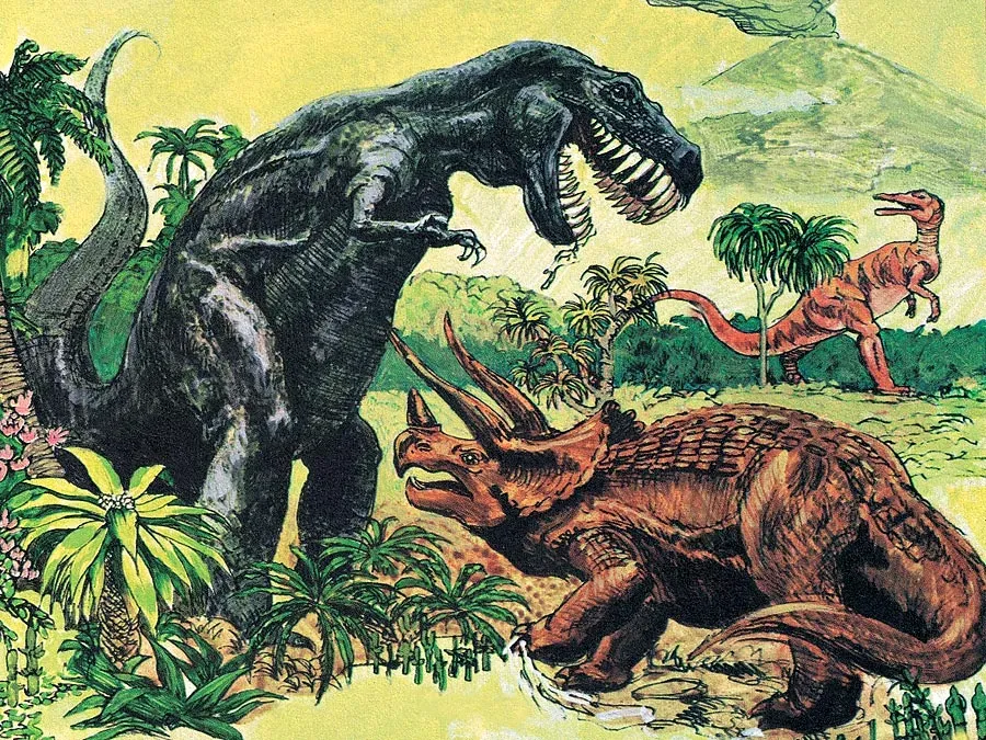 A Journey Through Time Since the Precambrian