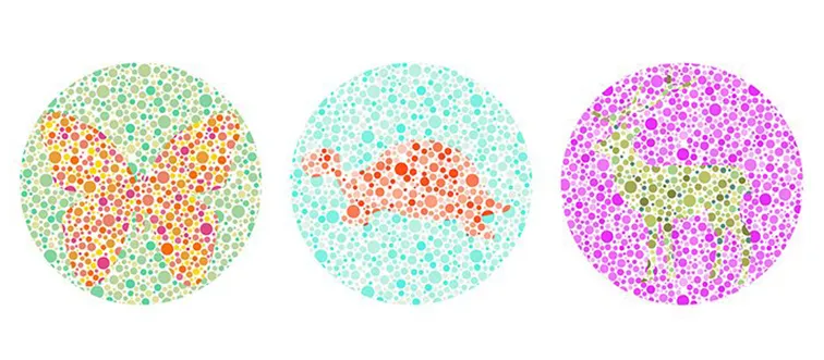 What forms do you perceive?