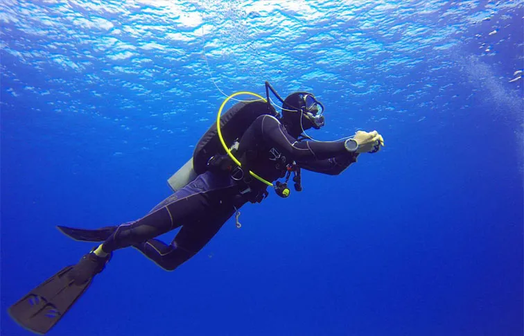 How Much Do You Know About Diving?